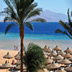 Baron Palms Sharm el Sheikh Vacation 1