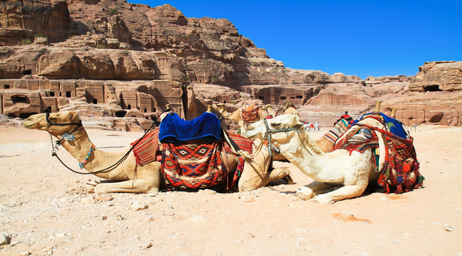 Jordan Amman & Petra History & Leisure Tour Holiday