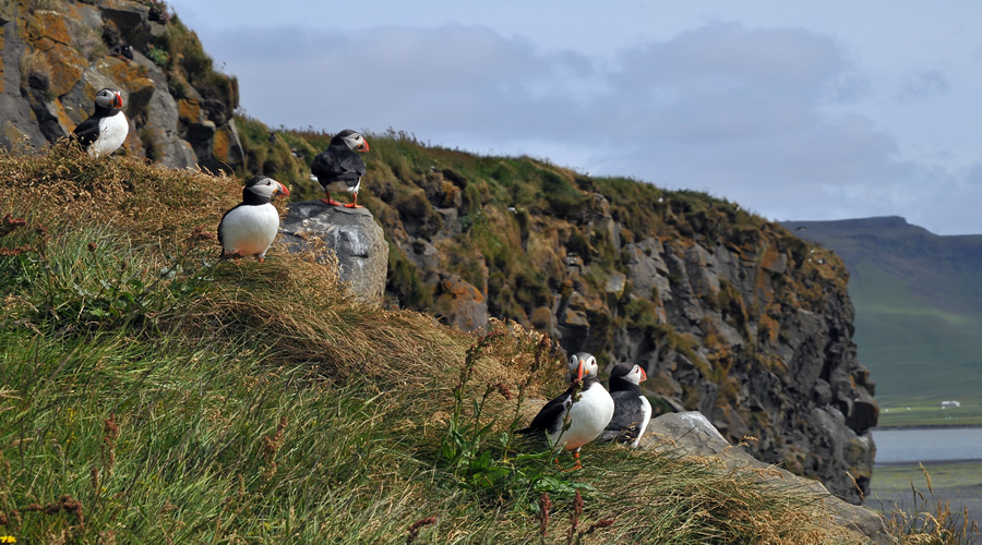 Iceland Highlights Holiday