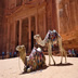 Jordan Amman & Petra Jordan Highlights Educational Tour 1