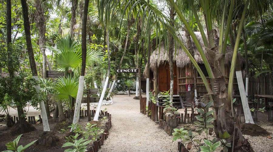 Fly Drive Holiday to Mexico Discovery